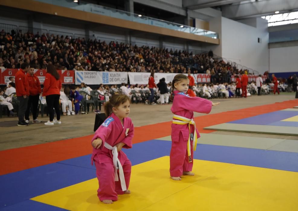 26ª edición de la Fiesta del Judo Infantil