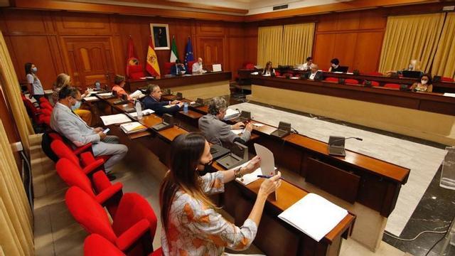 El Pleno rechaza pedir la gratuidad del aparcamiento de Reina Sofía