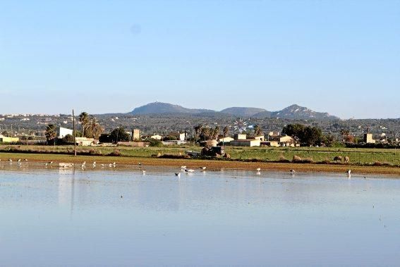 In dem kleinen Dorf in der Nähe des Flughafens von Mallorca steht das Wasser - und fließt seit Dezember nicht ab. Die Anwohner beklagen die Untätigkeit der Politik.