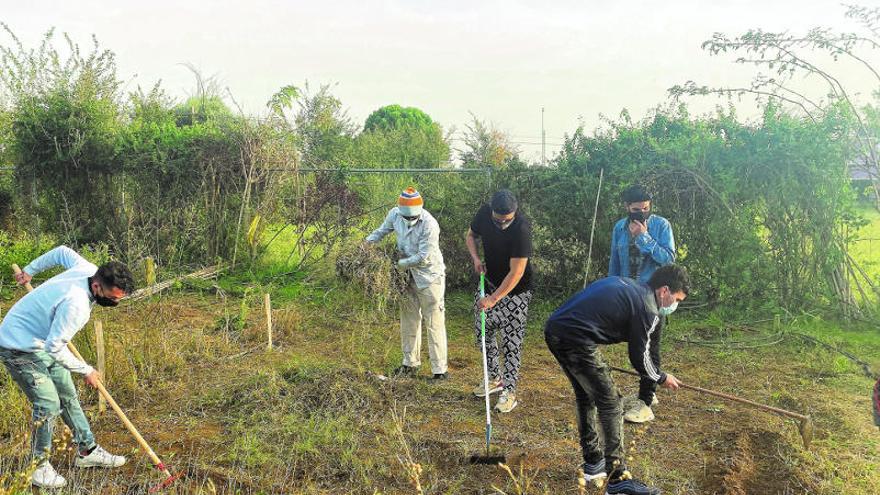 Diversos membres de l&#039;entitat treballant a l&#039;hort