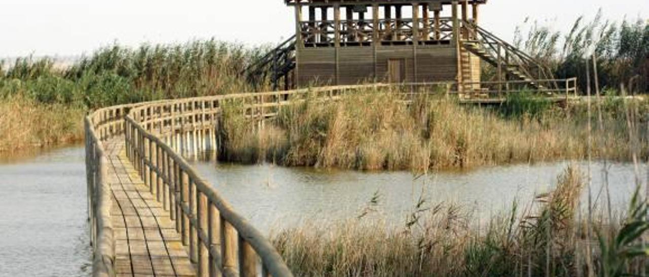 Una de las pasarelas y un puesto de observación de las aves en el Parque Natural de El Hondo