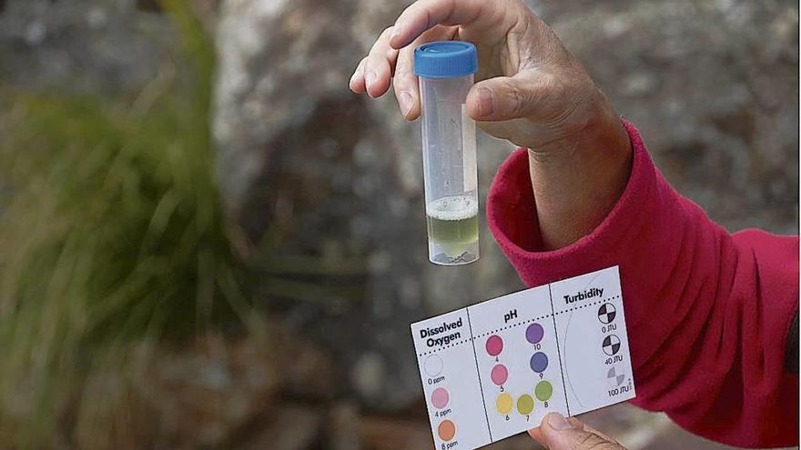 Análisis químico para determinar la cantidad de oxígeno disuelto en el agua, el pH y la turbidez.