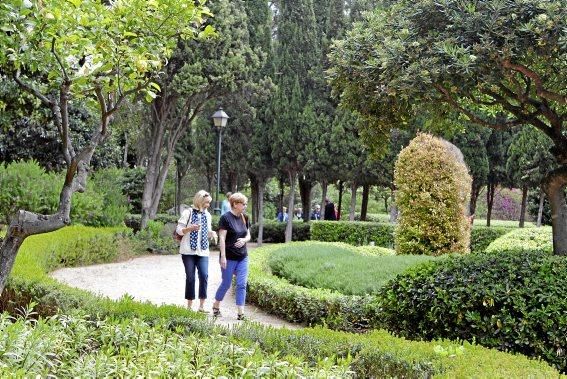 In den Jardines von Marivent: alte Bäume, organische Formschnitte und viel Grün. Ein botanischer Rundgang mit der Gartenarchitektin Erika Könn.