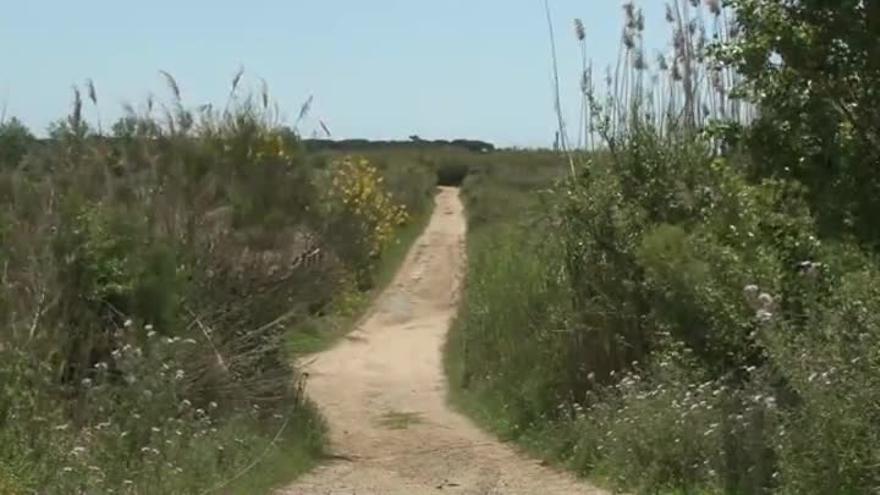 Espacios naturales del Delta del Llobregat.