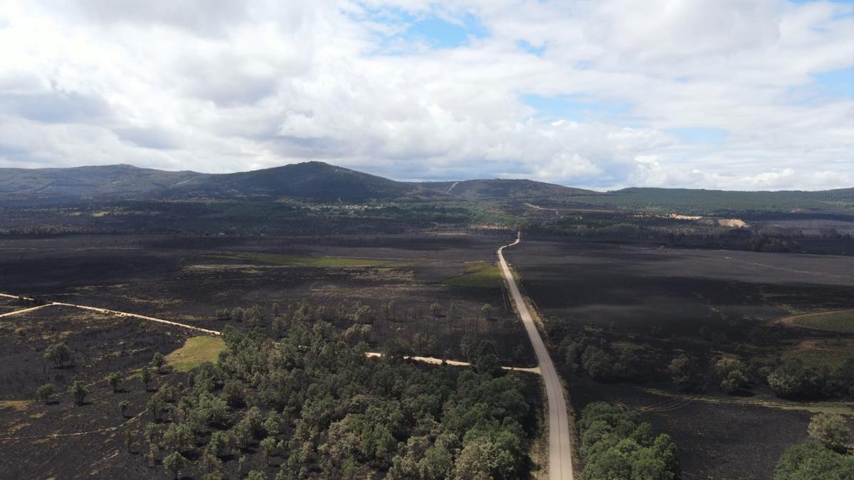 Incendio en Sierra de la Culebra.