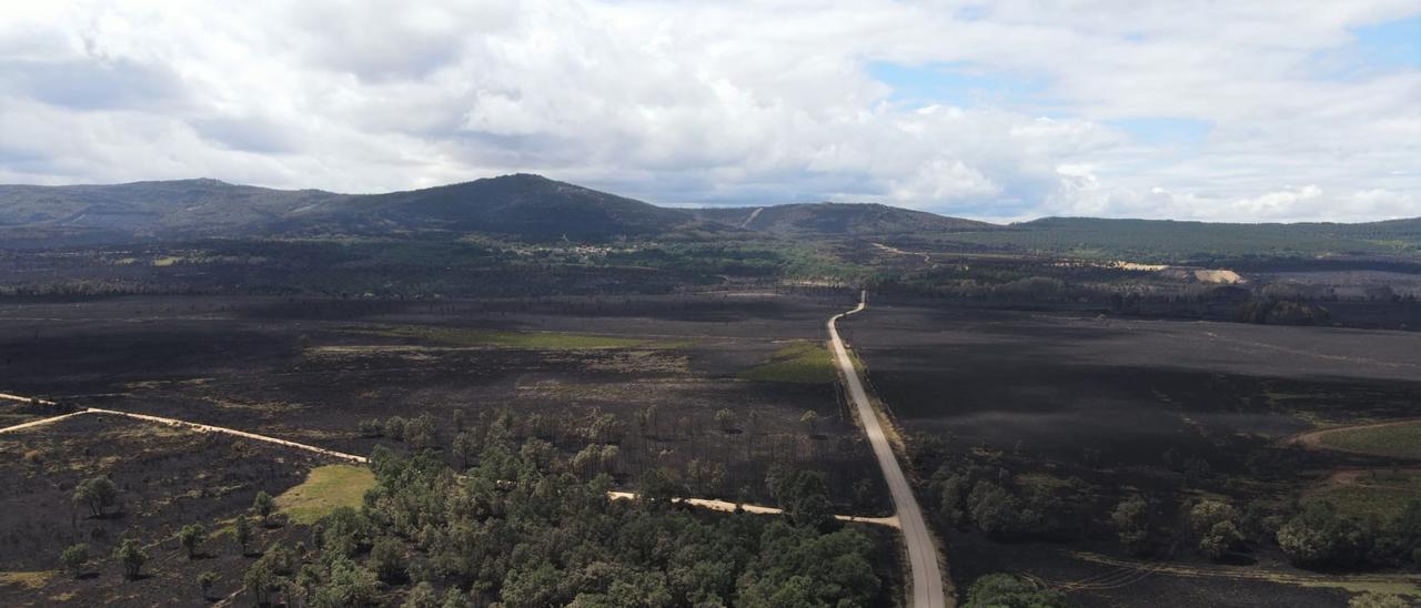 Incendio en Sierra de la Culebra.