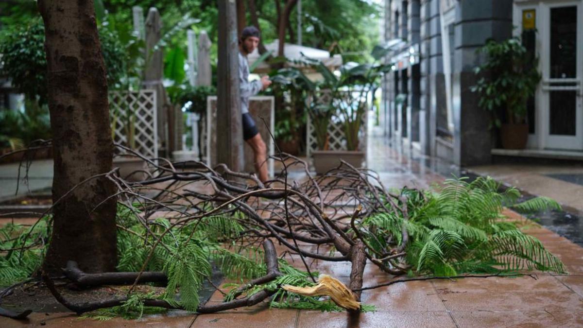 Un ciclón ‘Hermine’ mermado deja intensas lluvias sin graves daños  