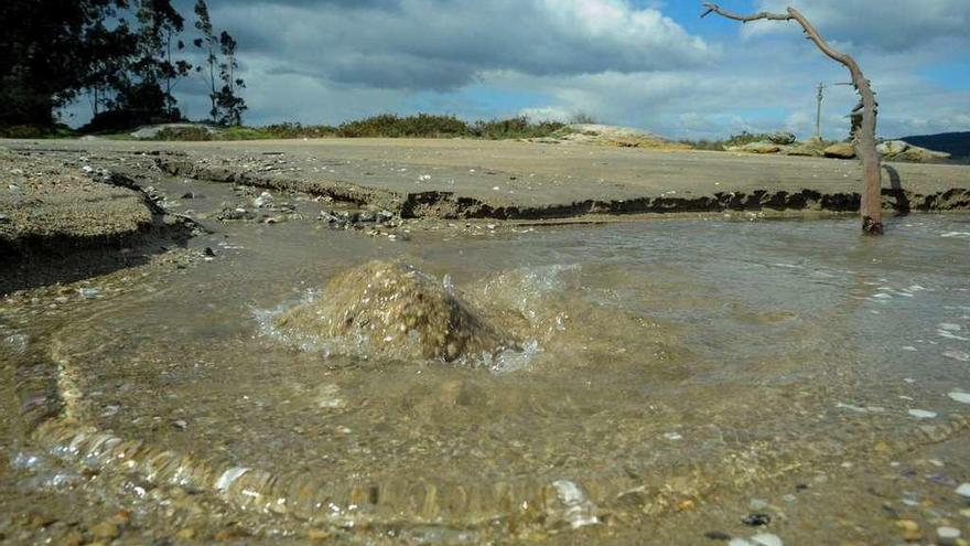 Los vecinos de Bamio se encontraron con esta imagen en medio del arenal. // Iñaki Abella