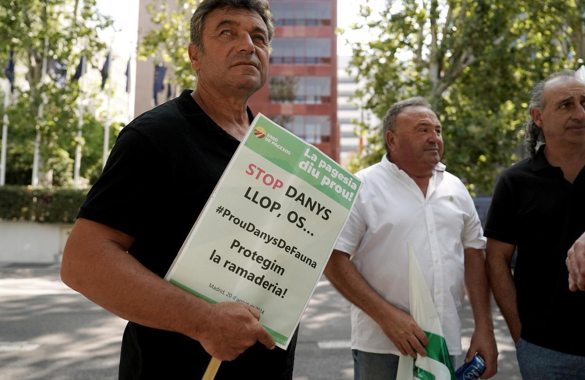 Madrid . 20.08.2024. Concentración de Unión de Uniones de agricultores y ganaderos para exigir una gestión racional del lobo y la protección de la ganadería.