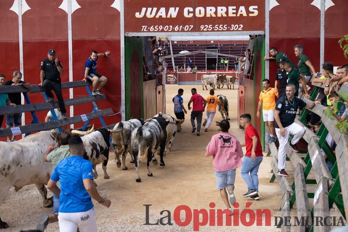 Primer encierro de la Feria del Arroz de Calasparra