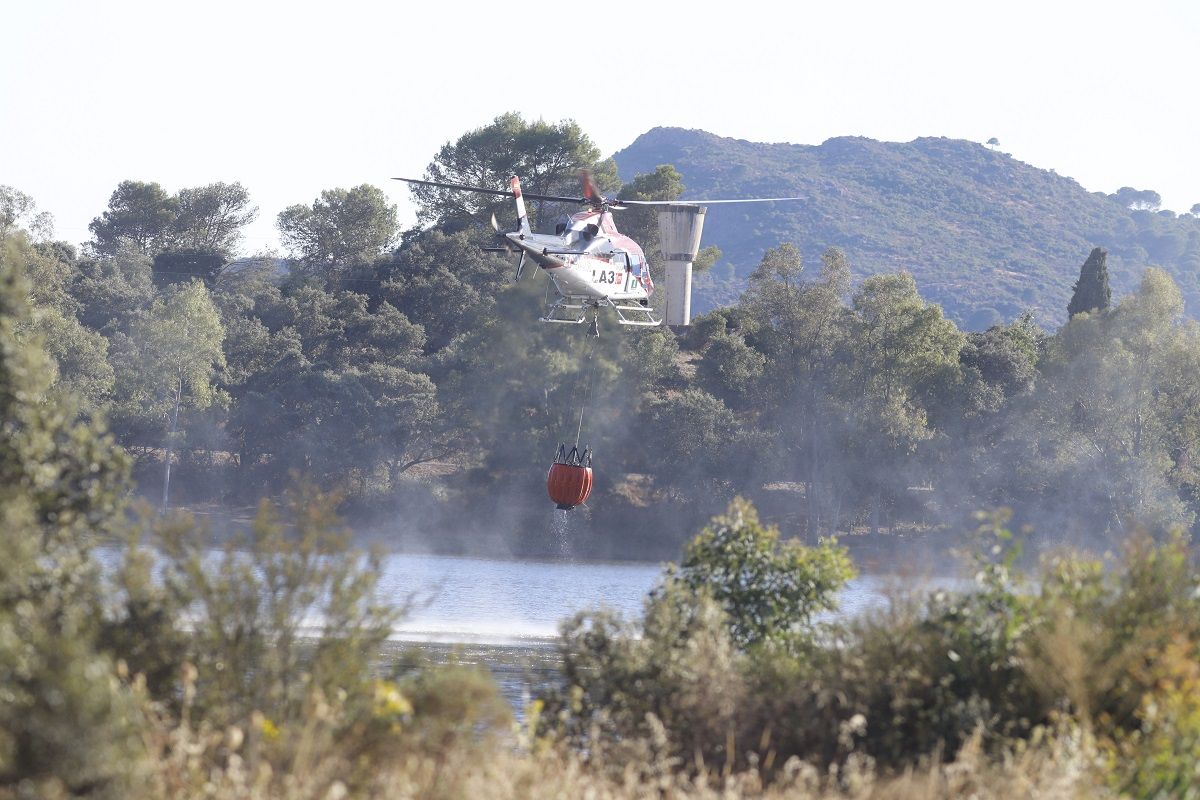 Incendio forestal en Cerro Muriano