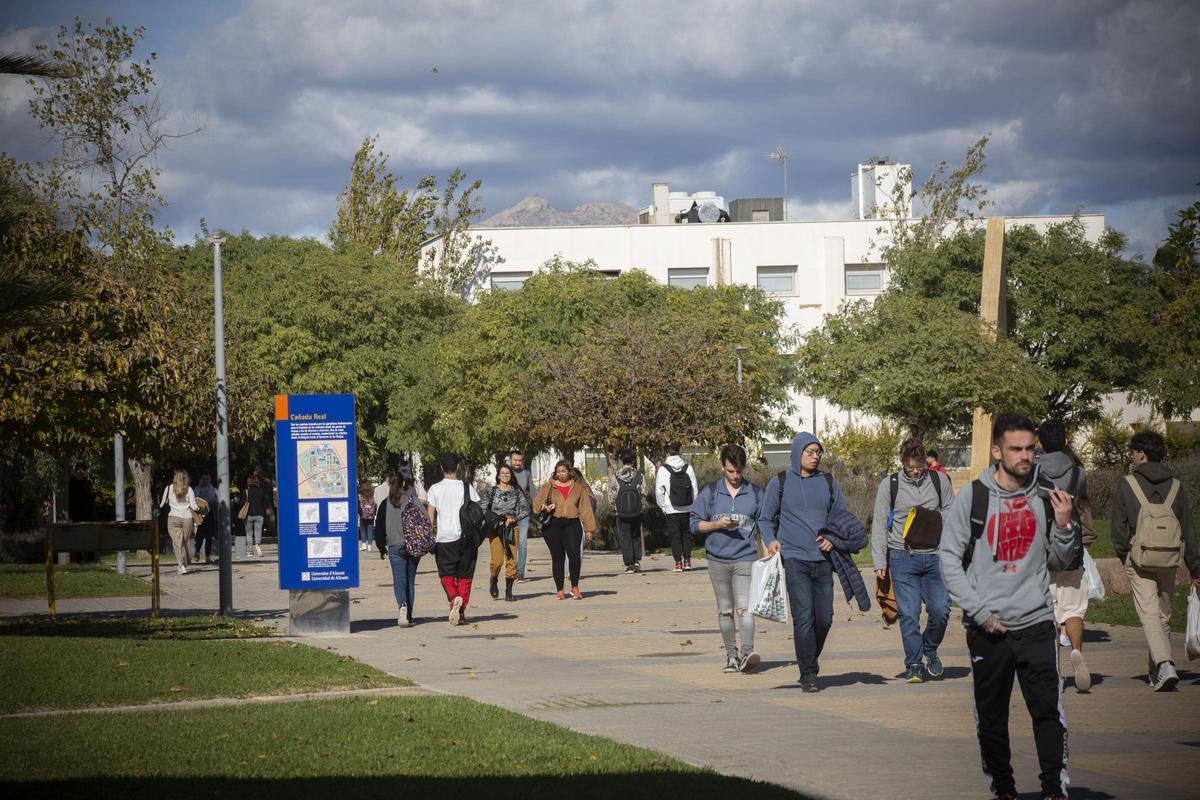 La Universidad de Alicante (UA)