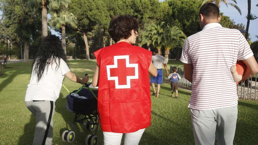 Roban un desfibrilador, ordenadores y chalecos en la Cruz Roja de Callosa