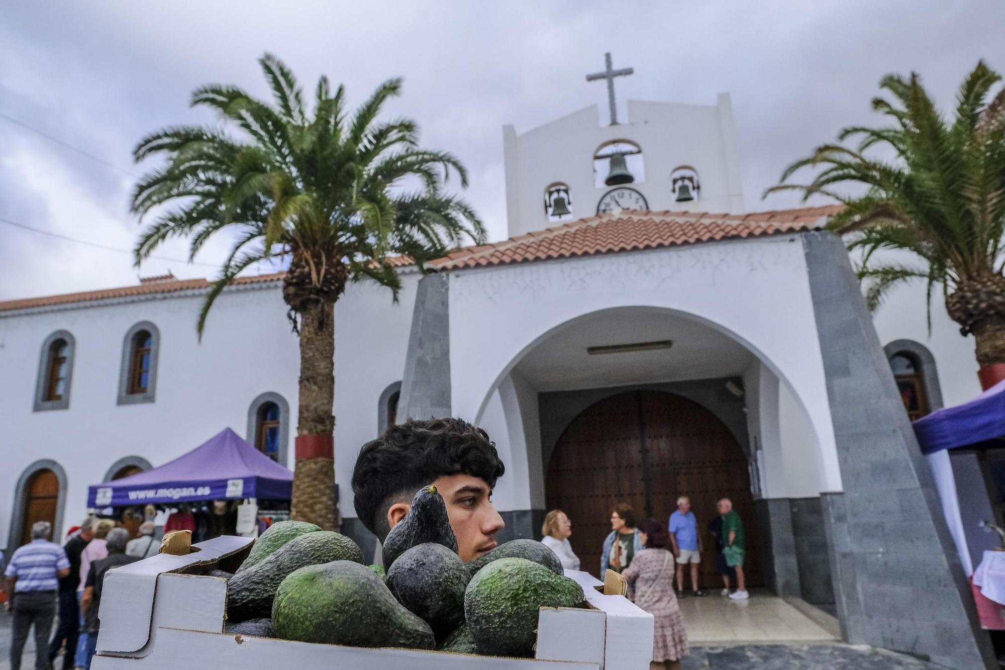 Feria del Aguacate de Mogán