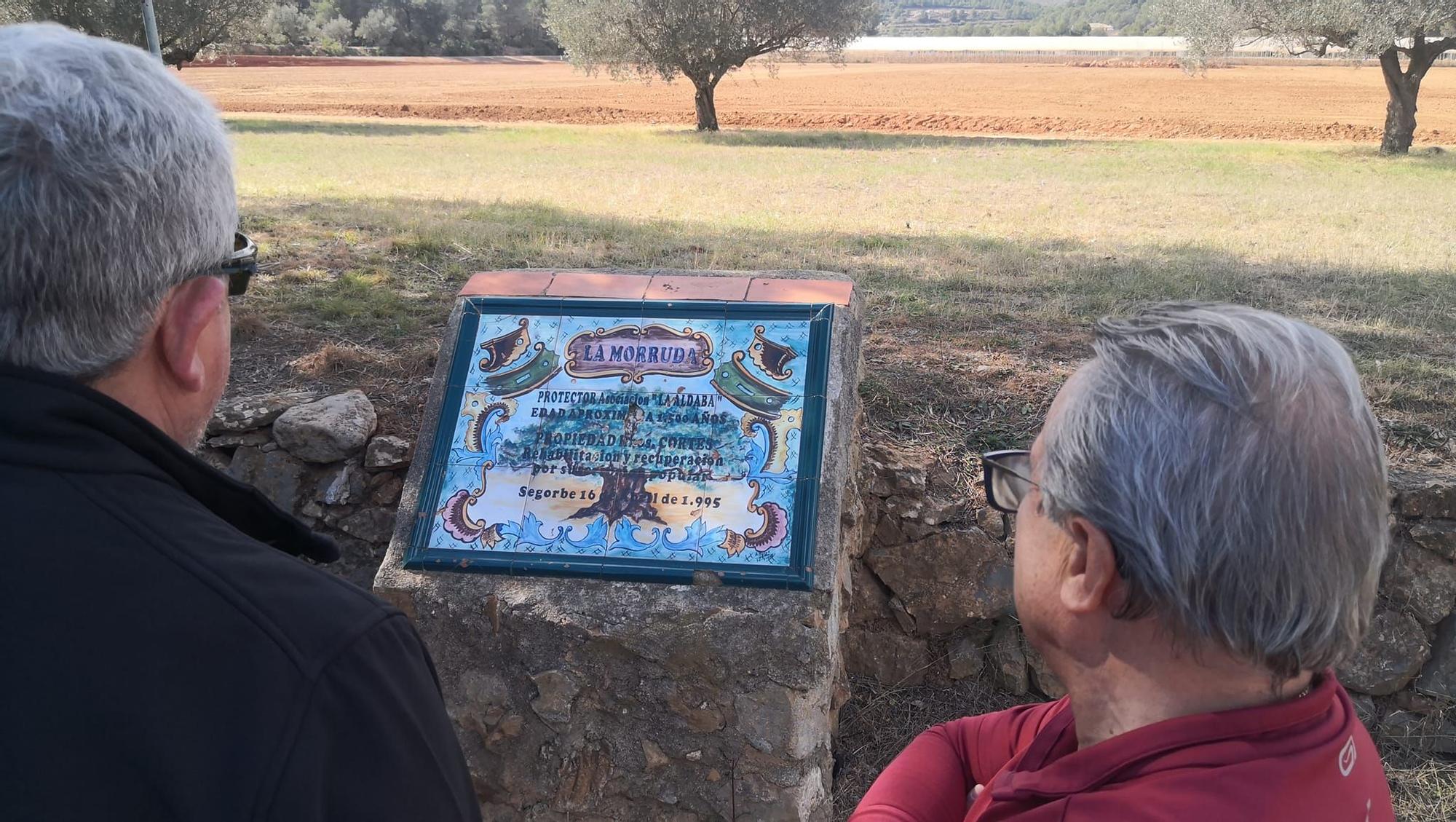 De Navajas a La Morruda de Segorbe