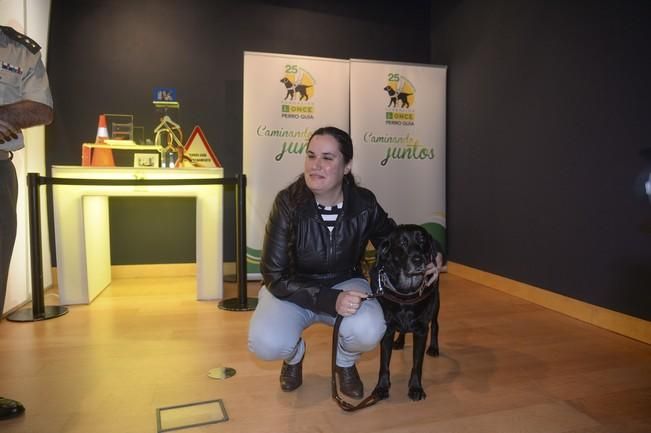 EXPO PERROS GUIA ONCE