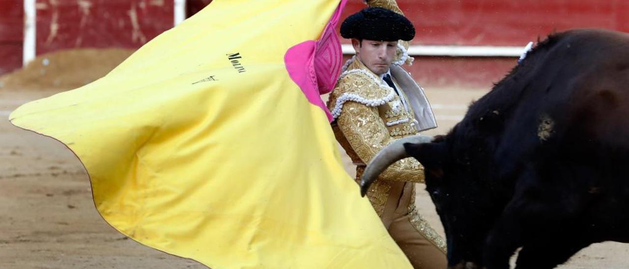 Oreja para José Fernando Molina y Miguelito