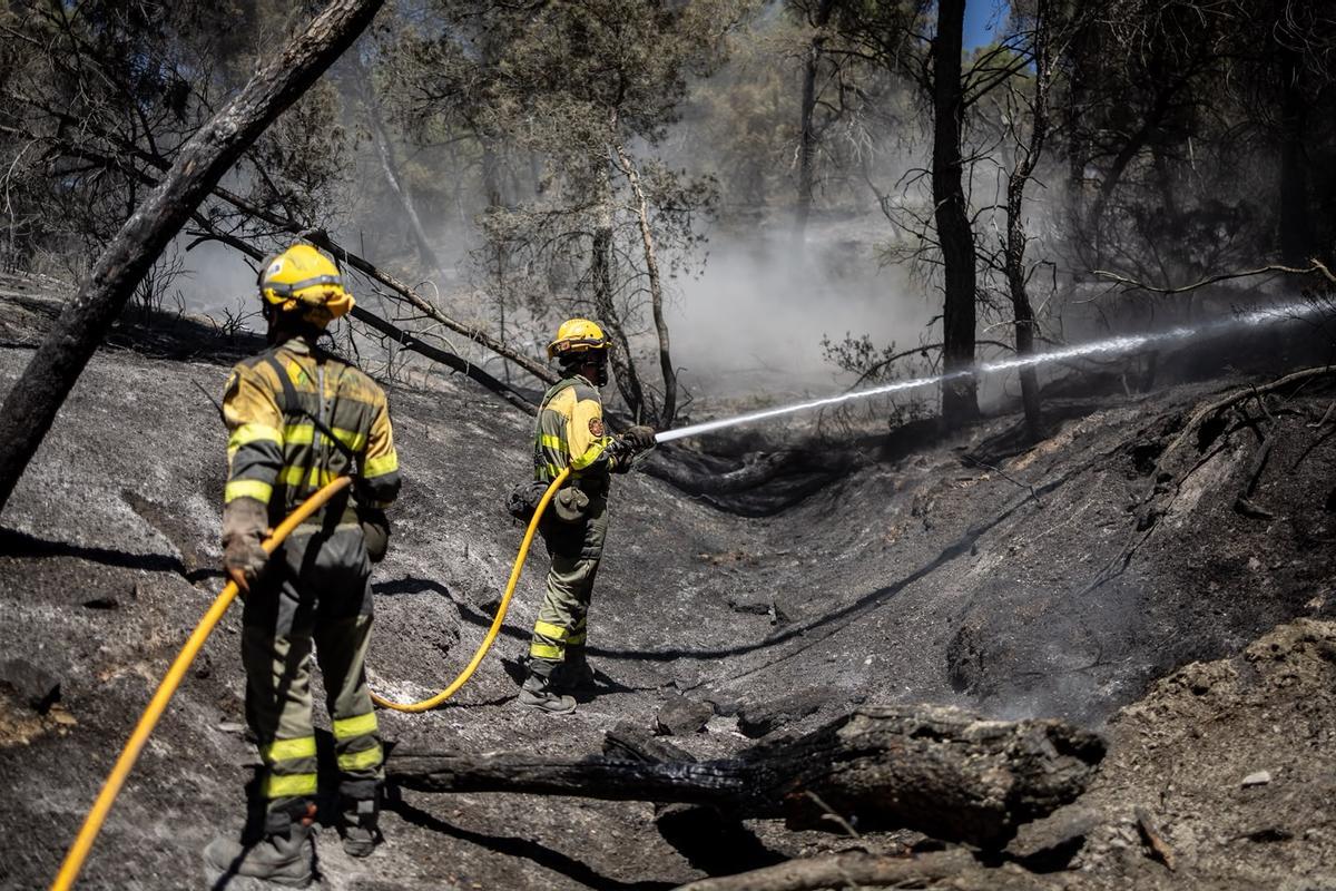 En imágenes | El operativo de INFOAR sigue este jueves con las labores de extinción en el incendio de Leciñena