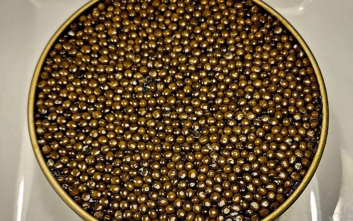 Caviar de la variedad Imperial. | CAVIAR LOUIS