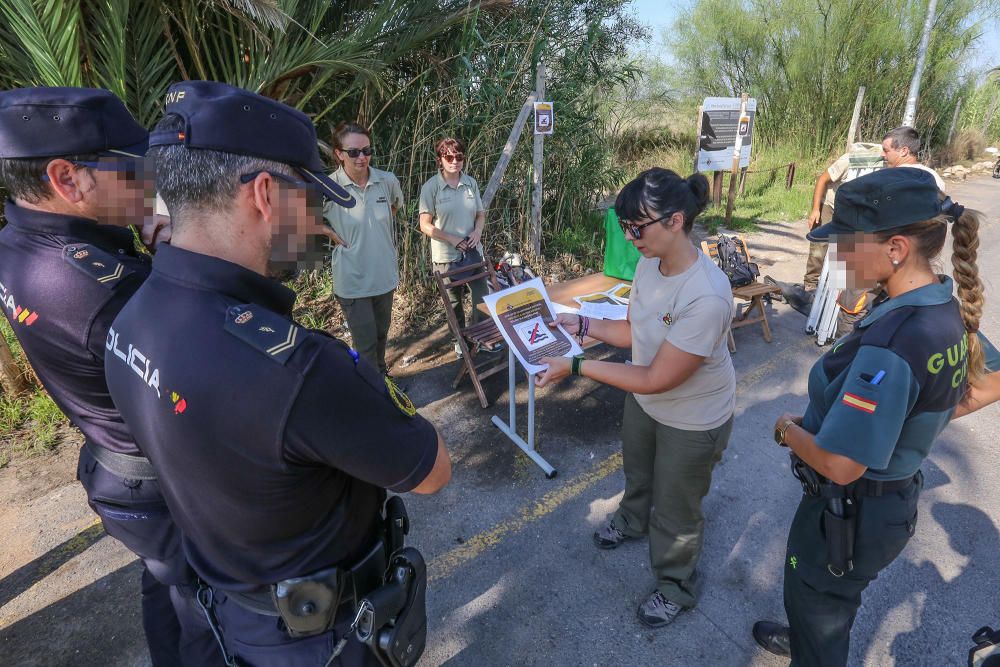 Guardia Civil y Policía cierran el paso a los bañistas en la laguna de Torrevieja. El personal del parque natural y agentes ambientales de la Generalitat informan sobre la prohibición de baño