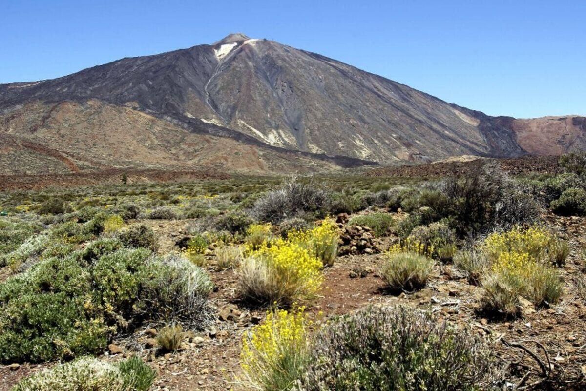 Parque Nacional del Teide.