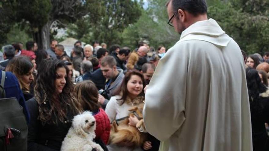 Castelló de Rugat se prepara para la XVI edición del &quot;Porrat de Sant Antoni&quot;