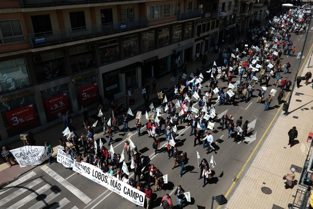 La Alianza se manifiesta en contra del lobo