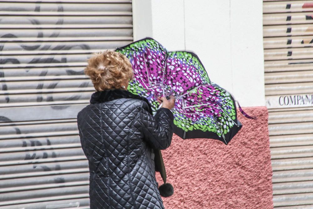 Las fuertes rachas de viento han provocado la caída de cascotes, árboles y toldos en la Vega Baja y la intervención de la Policía Local y Bomberos en Torrevieja y Orihuela