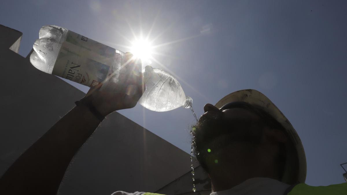 Un trabajador bebe agua para seguir con su faena, en Córdoba.