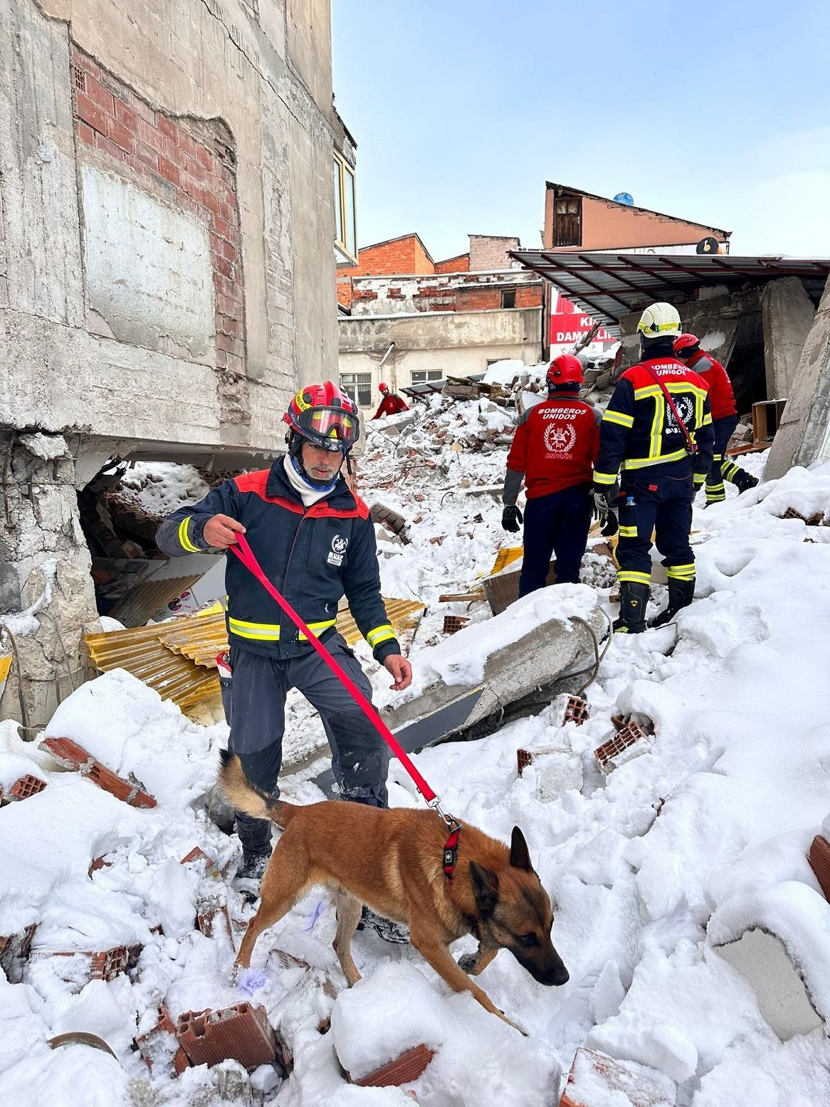 Uno de los bomberos de Córdoba en Turquía busca supervivientes con un perro entrenado.