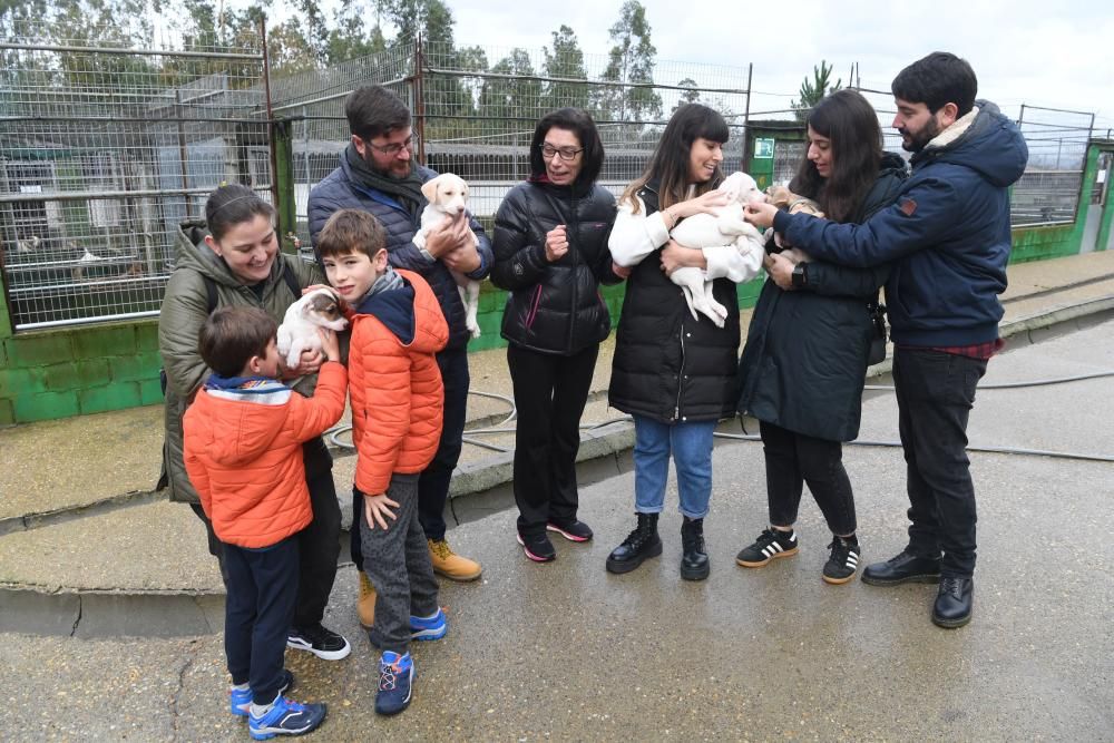 Apadan de Culleredo se consolida como un referente