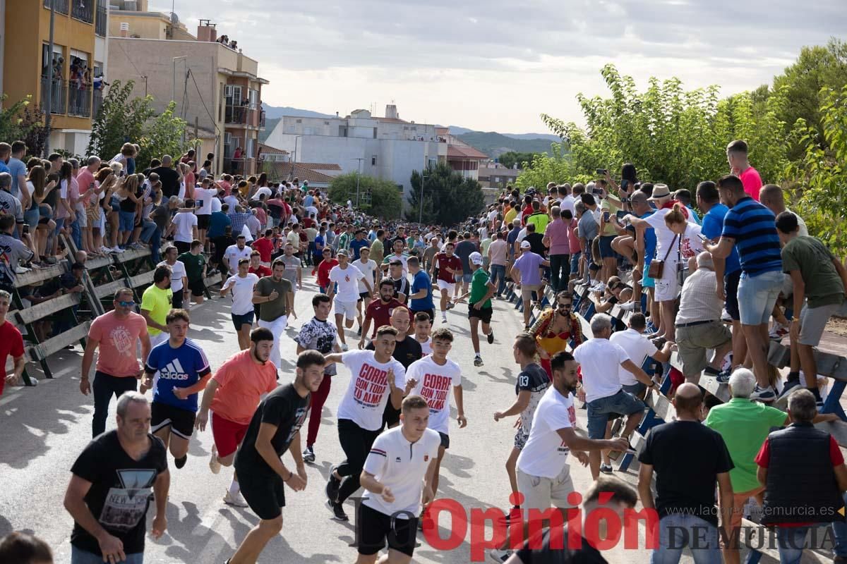 Primer encierro de la Feria del Arroz de Calasparra