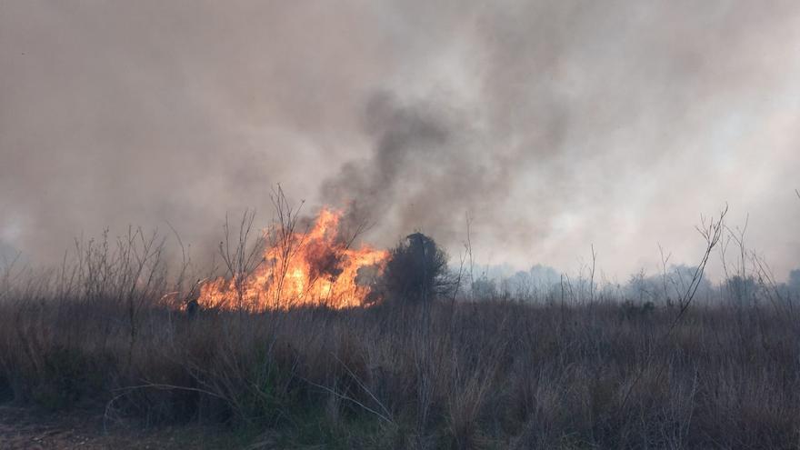 Declarado un incendio en el barranco de la Hiedra en Xàbia, cerca del Montgó