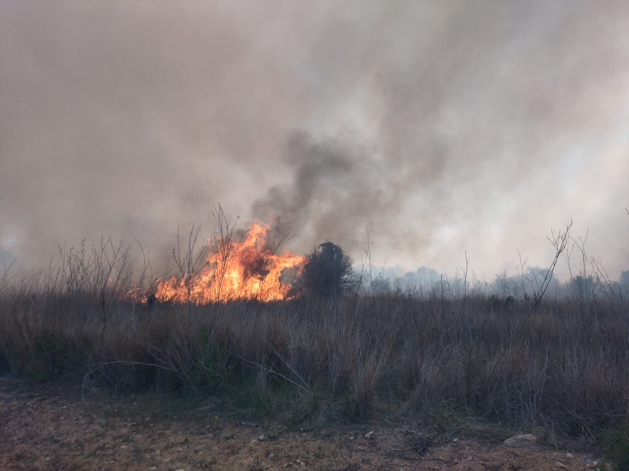 Declarado un incendio en el barranco de la Hiedra en Xàbia, cerca del Montgó