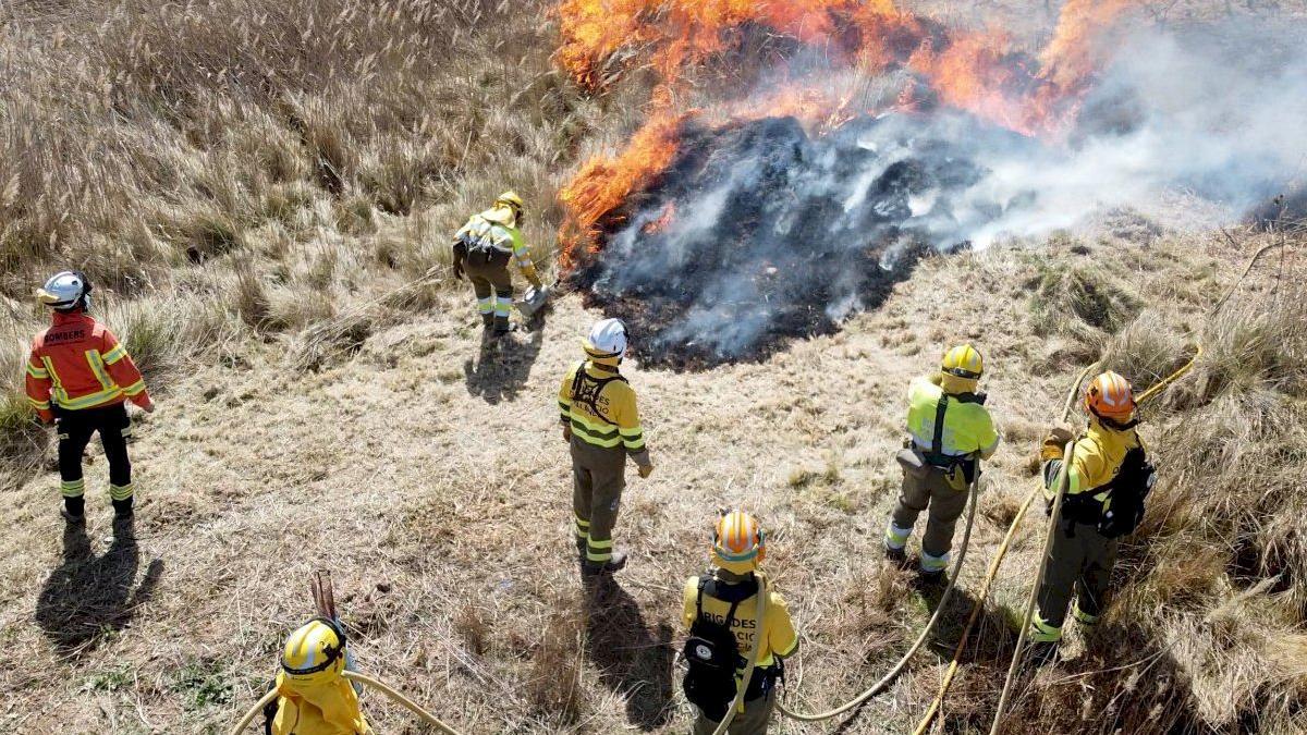 Bomberos colaboran en una quema controlada en Requena para alejar una &quot;superpoblación&quot; de conejos