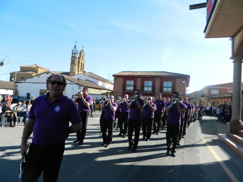 Encuentro de bandas en Moraleja del Vino.