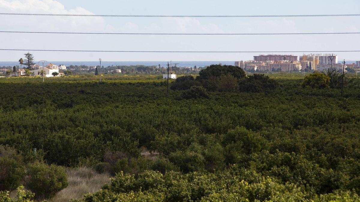 Terrenos donde va la planta solar de la gigafactoría con Canet d’ En Berenguer al fondo.