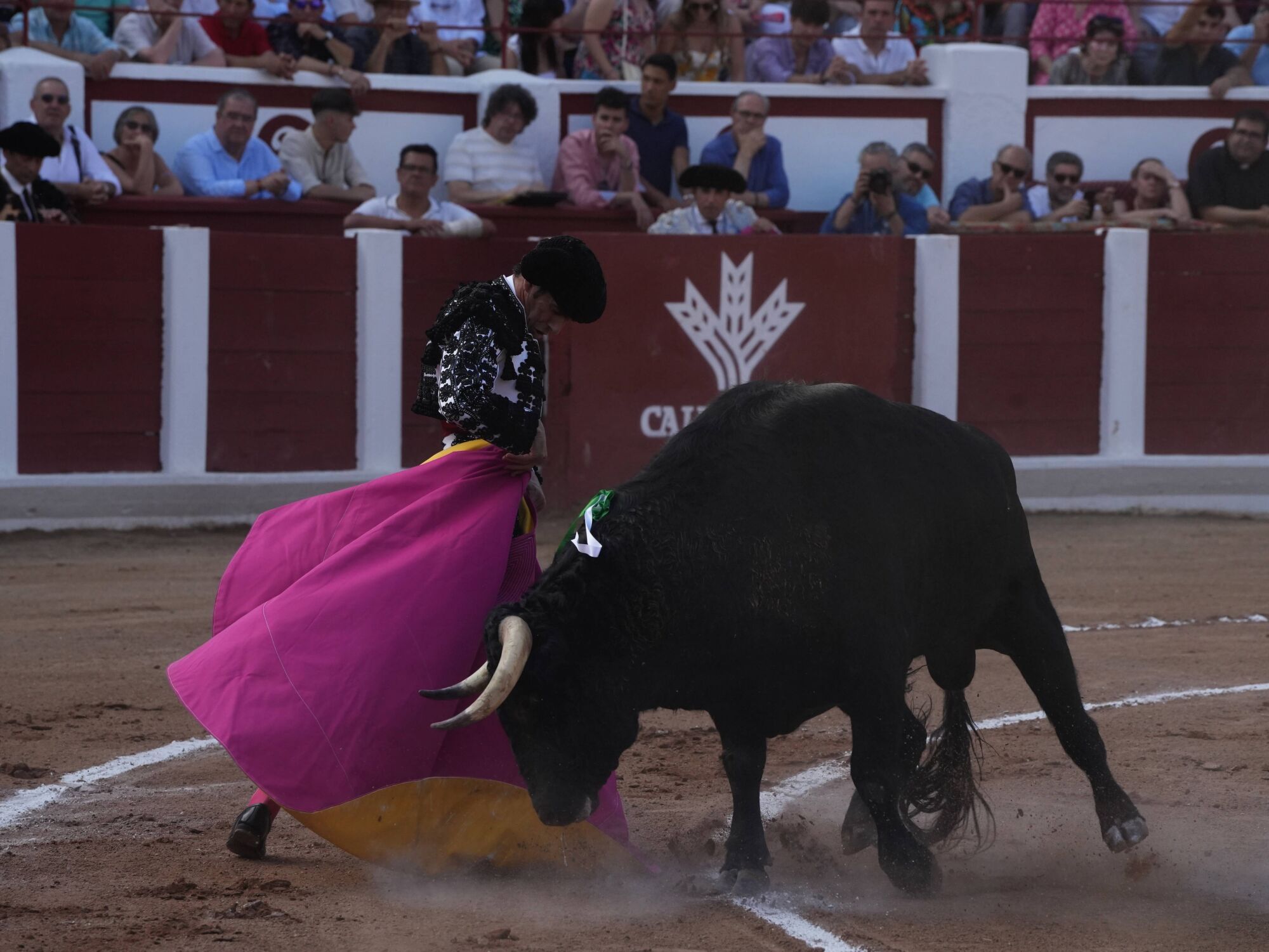 Las mejores imágenes de la feria taurina de San Pedro en Zamora.