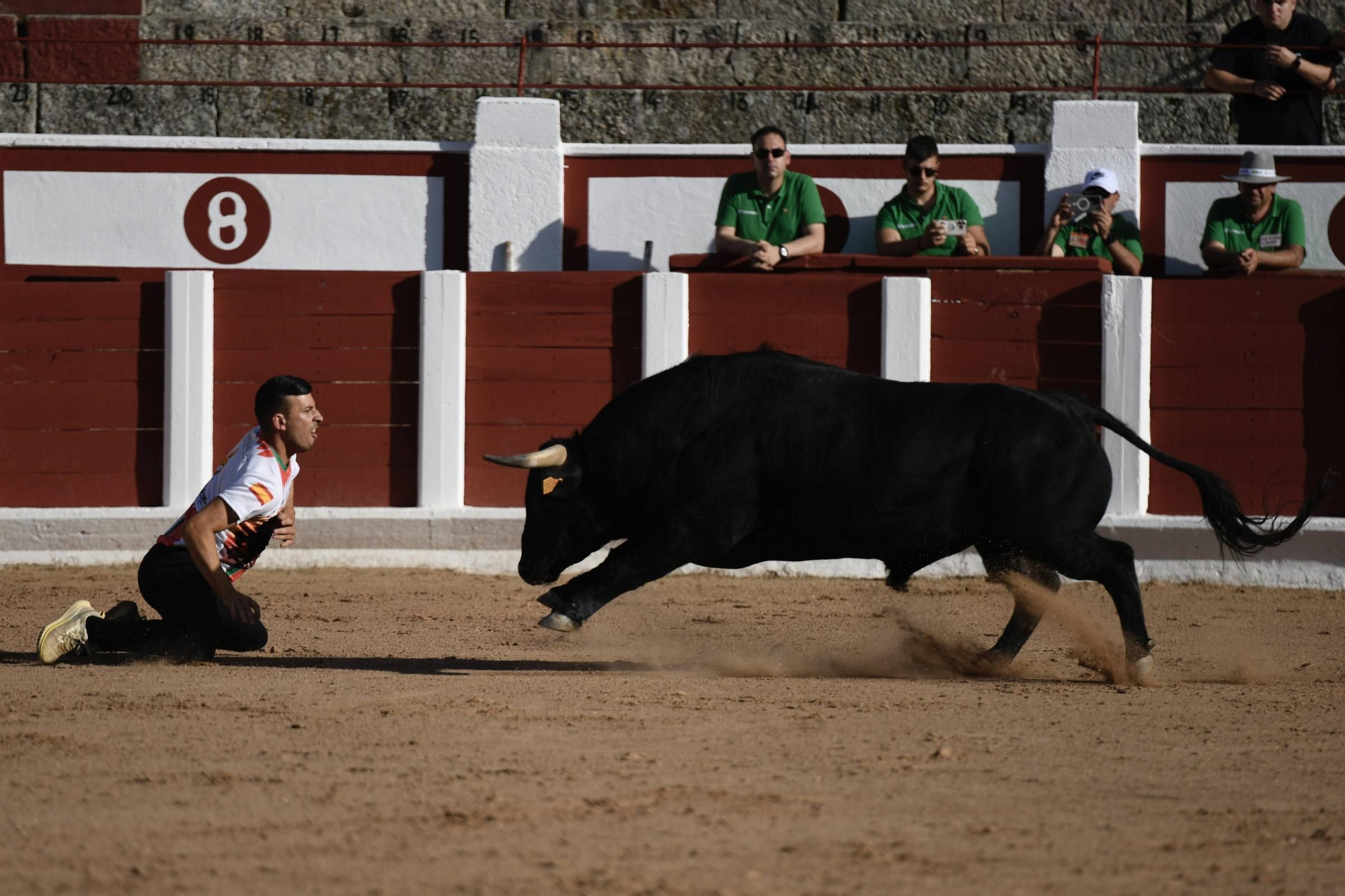 Concurso Recortadores San Pedro 2025