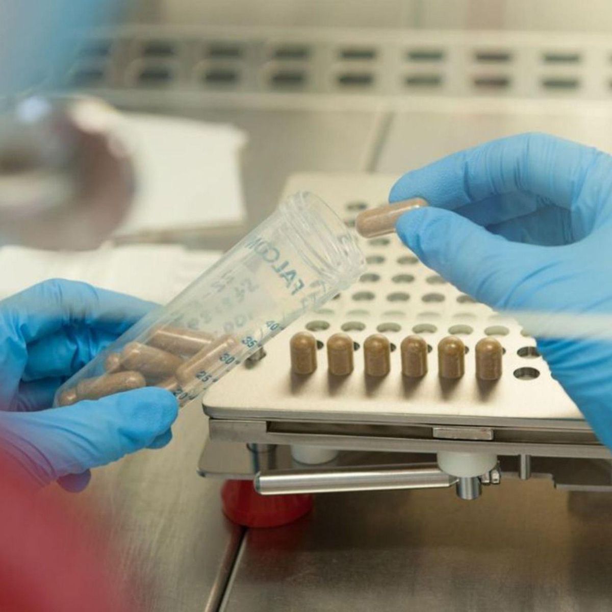Catalunya crea el primer banc públic de microbiota fecal