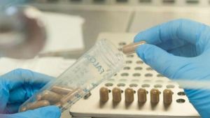 Catalunya crea el primer banc públic de microbiota fecal