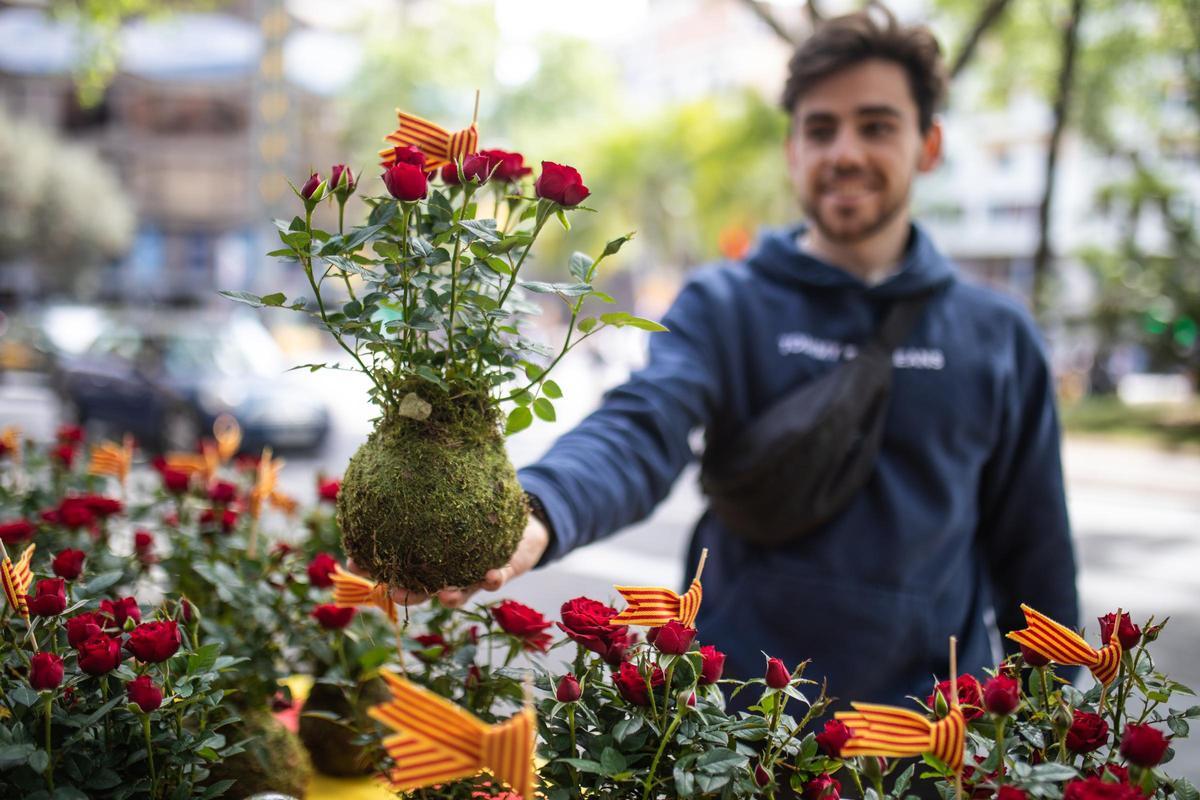 Una 'kokedama' de rosa, en la Diada de Sant Jordi de 2023.