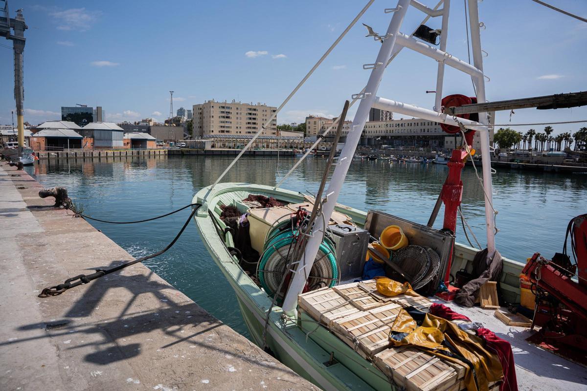 La zona en la que se ubica la nueva lonja de pescadores de Barcelona