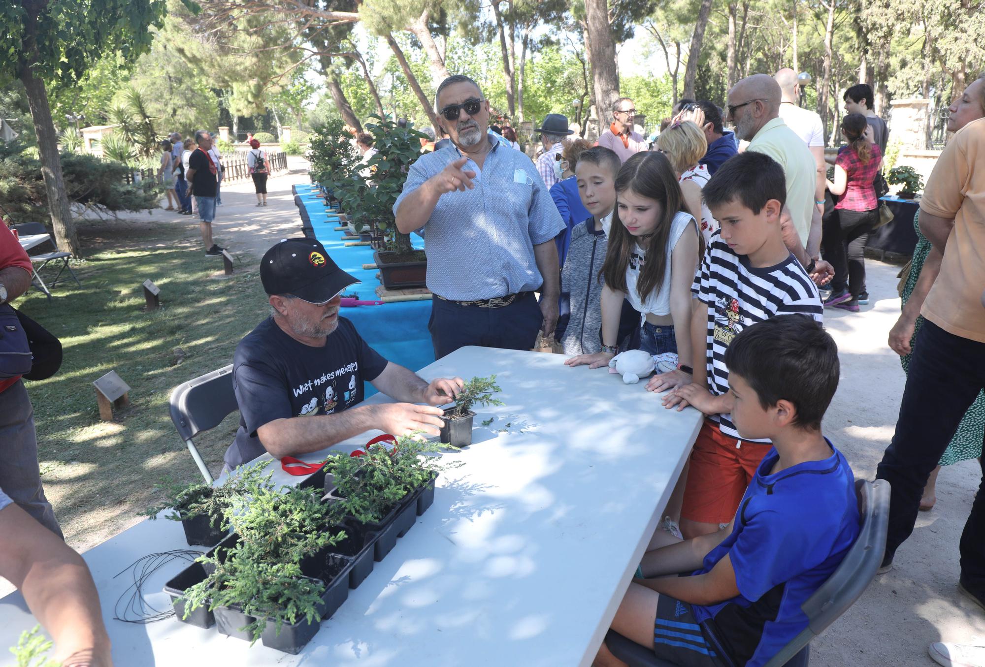 Zaragoza Florece 2022: búscate en nuestras fotos