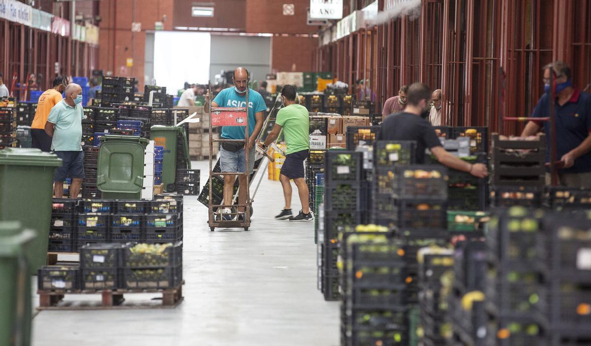 La nave de frutas y verduras de Mercalicante.