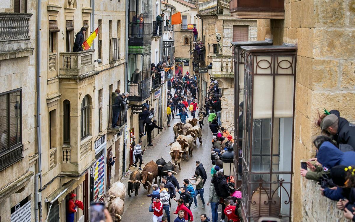 Carnaval del Toro en Ciudad Rodrigo (Salamanca)