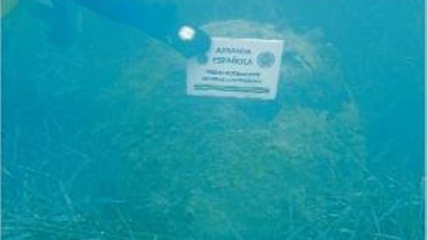 La mina trobada estava a 200 metres de la costa