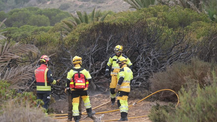 Todas las imágenes del incendio en la pinada de El Carabassí