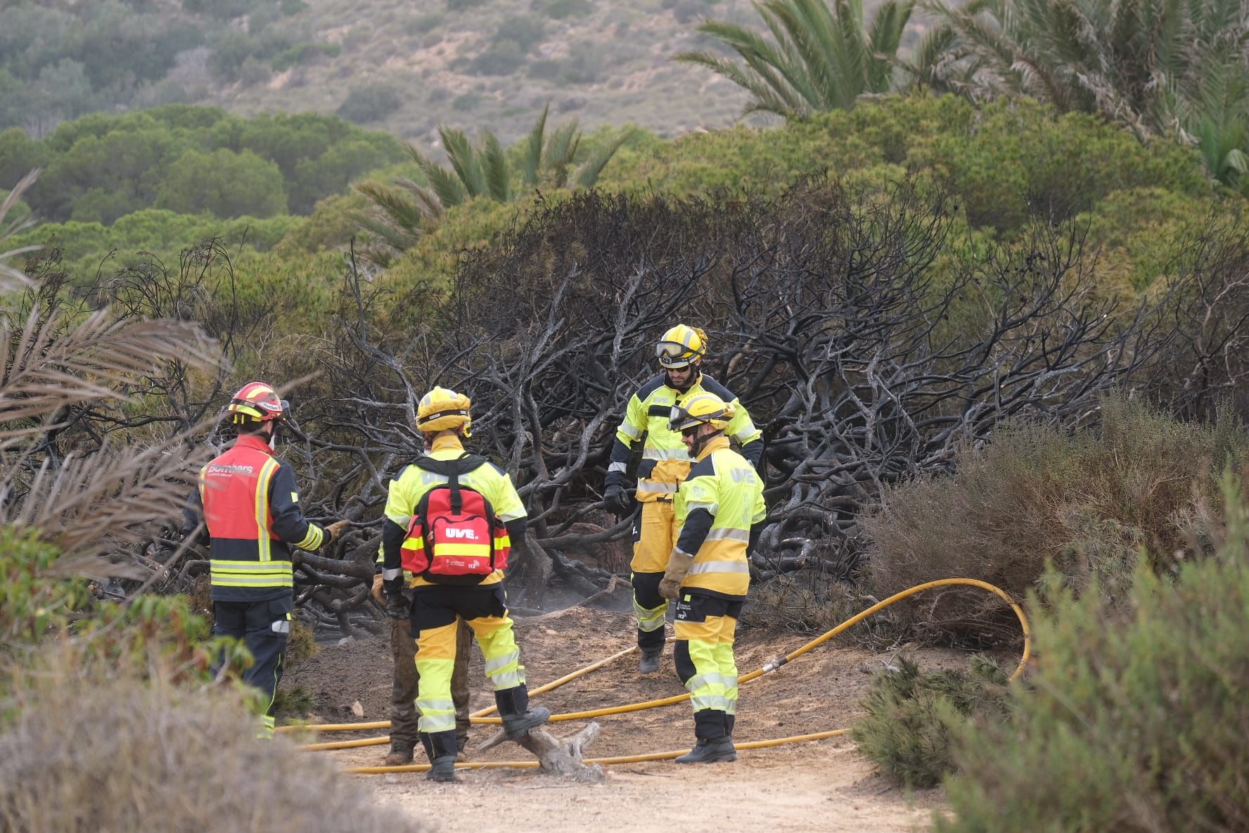 Todas las imágenes del incendio en la pinada de El Carabassí