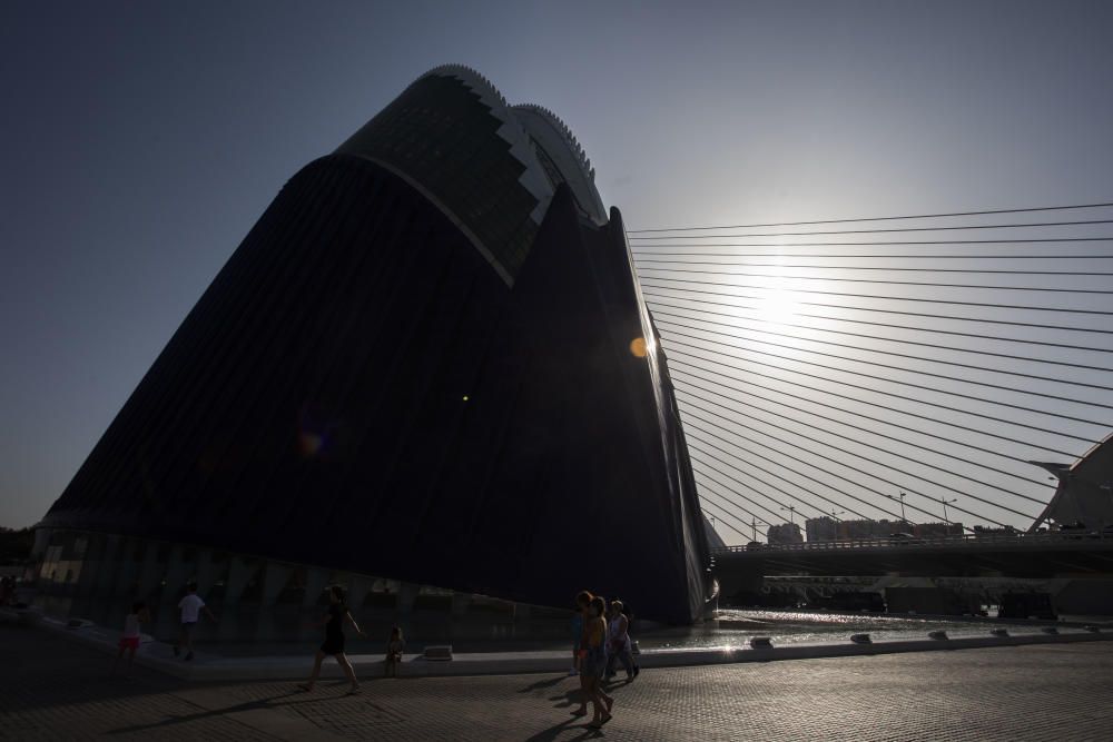 Las mejores imágenes de los fotoperiodistas de Levante-EMV por el Día de la Fotografía